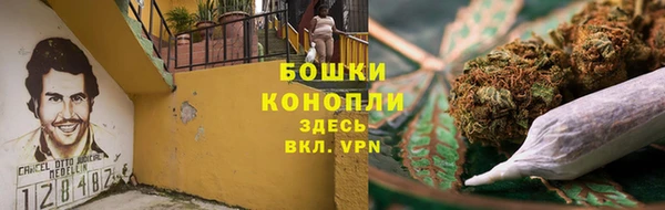 стаф Тихвин