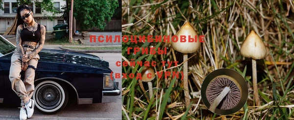 трава Балабаново