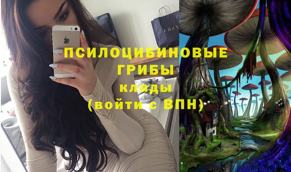 jwh Белокуриха